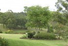 Grovedale Eastresidential-landscaping-40.jpg; ?>